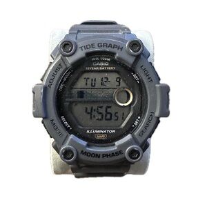 Casio Black and Gray Digital Watch